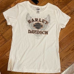 Harley Davidson large